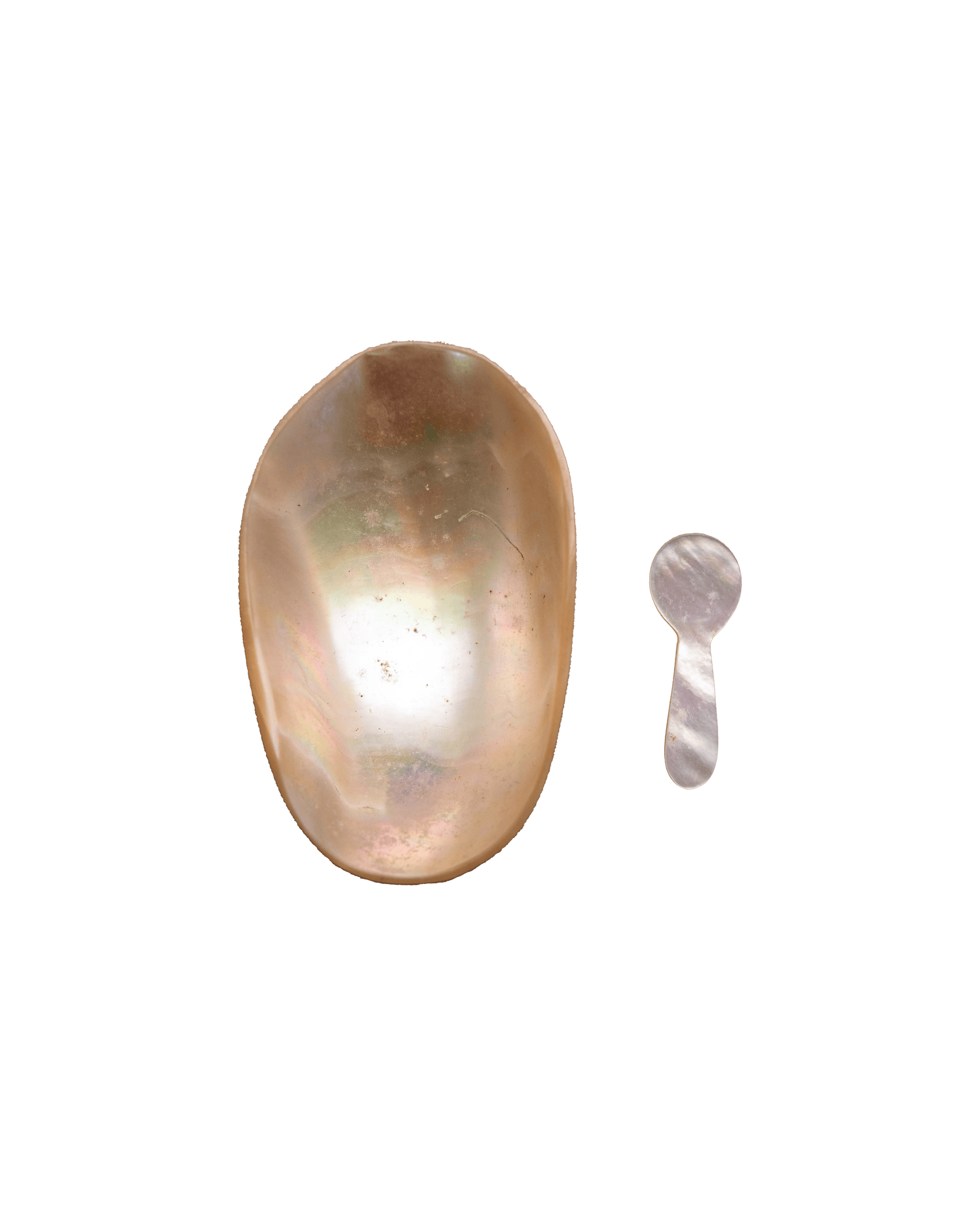 Mother of Pearl Dish and Spoon