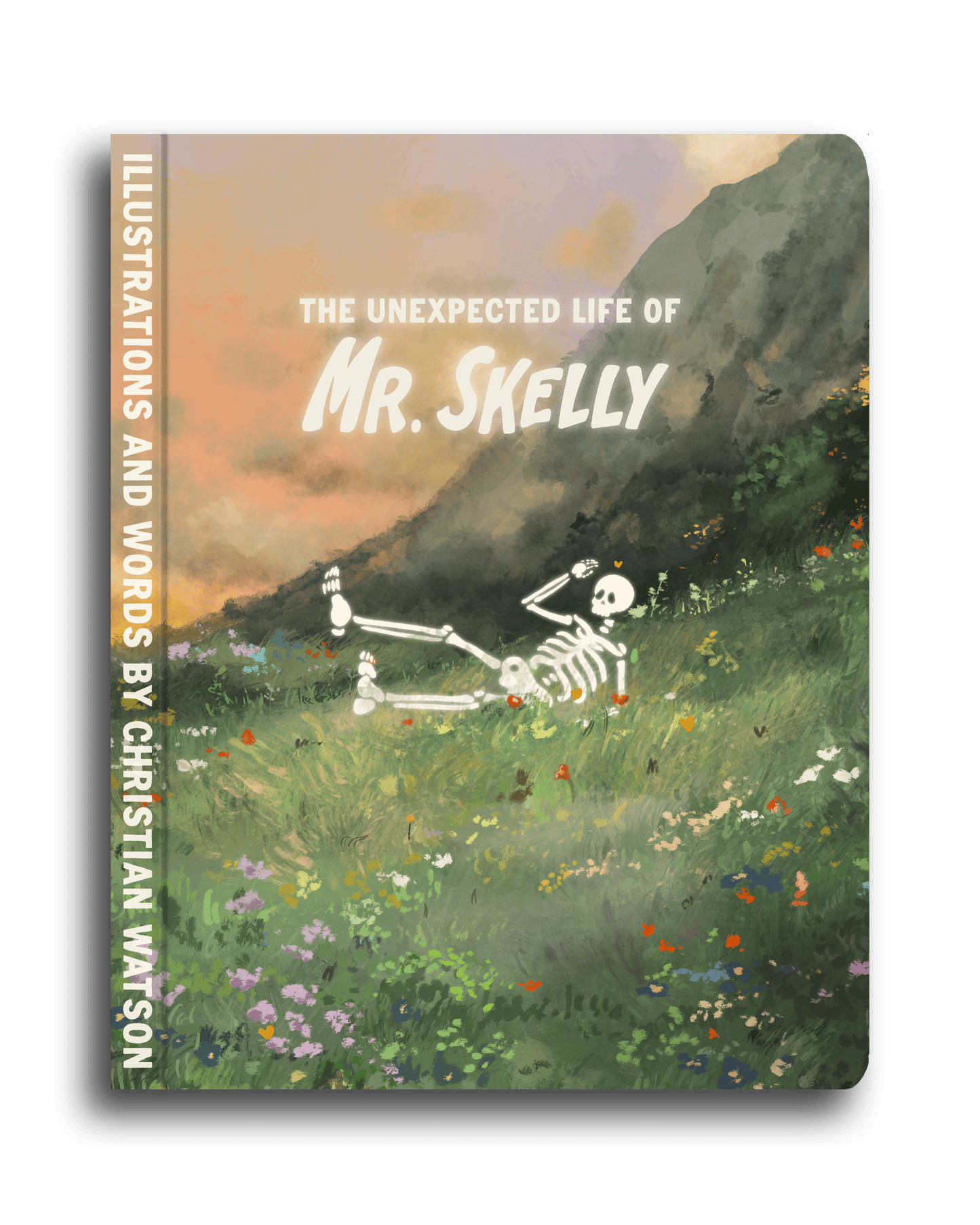 Mr Skelly Book! - PRE ORDER
