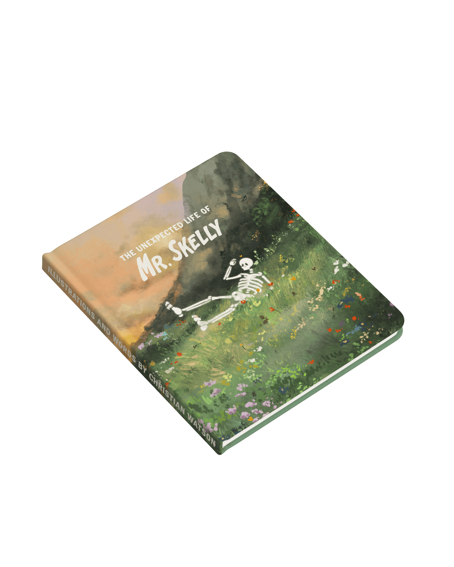 Mr Skelly Book! - PRE ORDER
