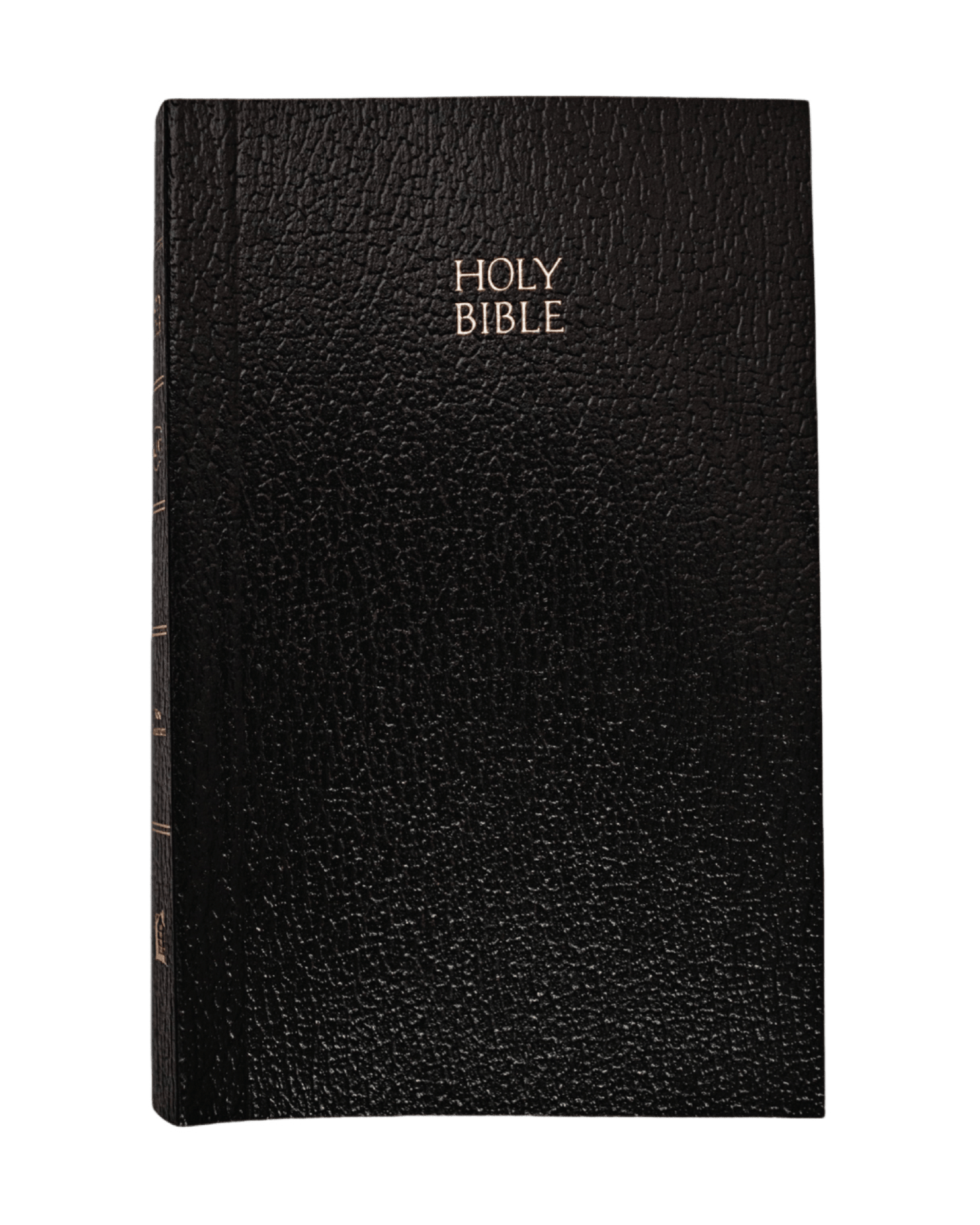 Pocket Holy Bible