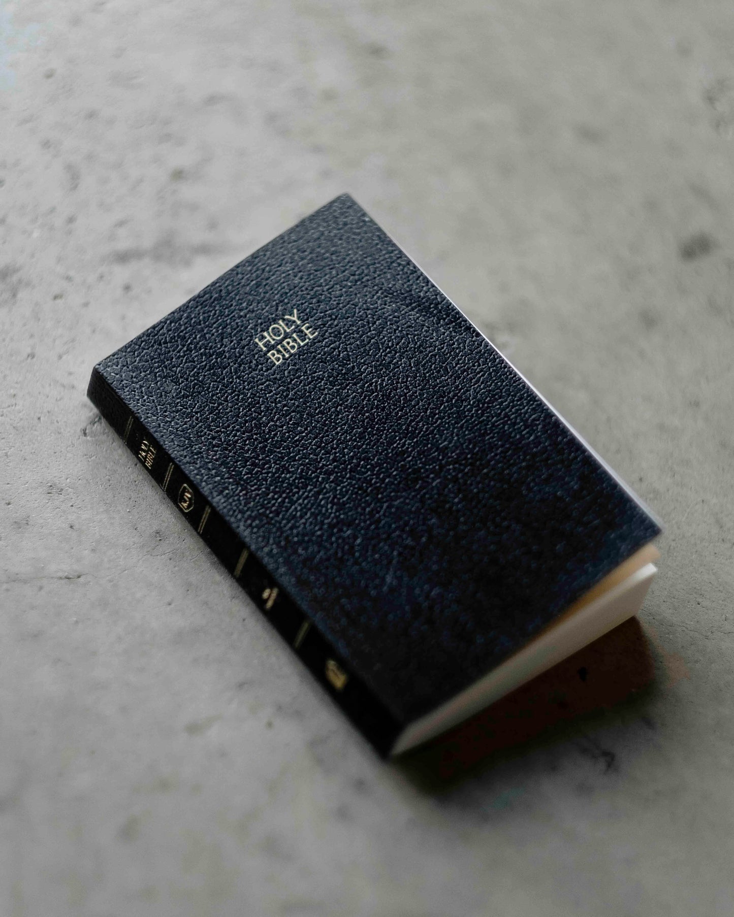 Pocket Holy Bible