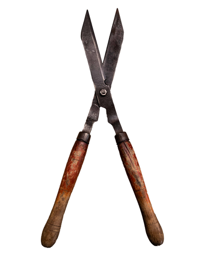 Large steel shears with wood handle