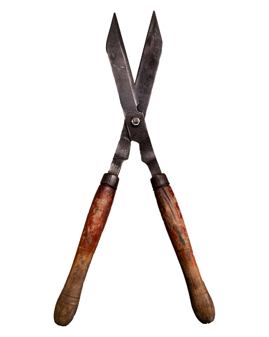 Large steel shears with wood handle