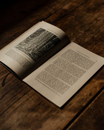 Oregon's Commercial Forests Manual