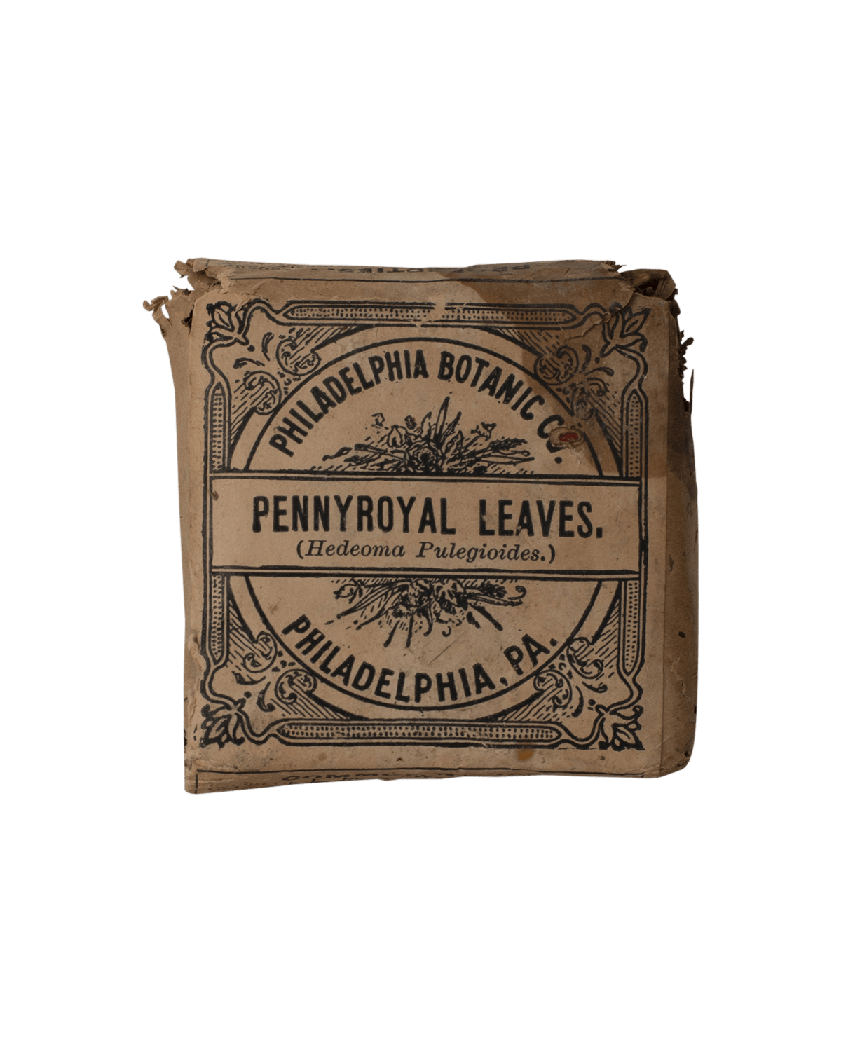 Pennyroral Leaves Botanical Packaging