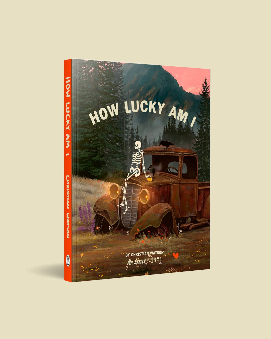 PRE ORDER - How lucky am I - Mr Skelly Book