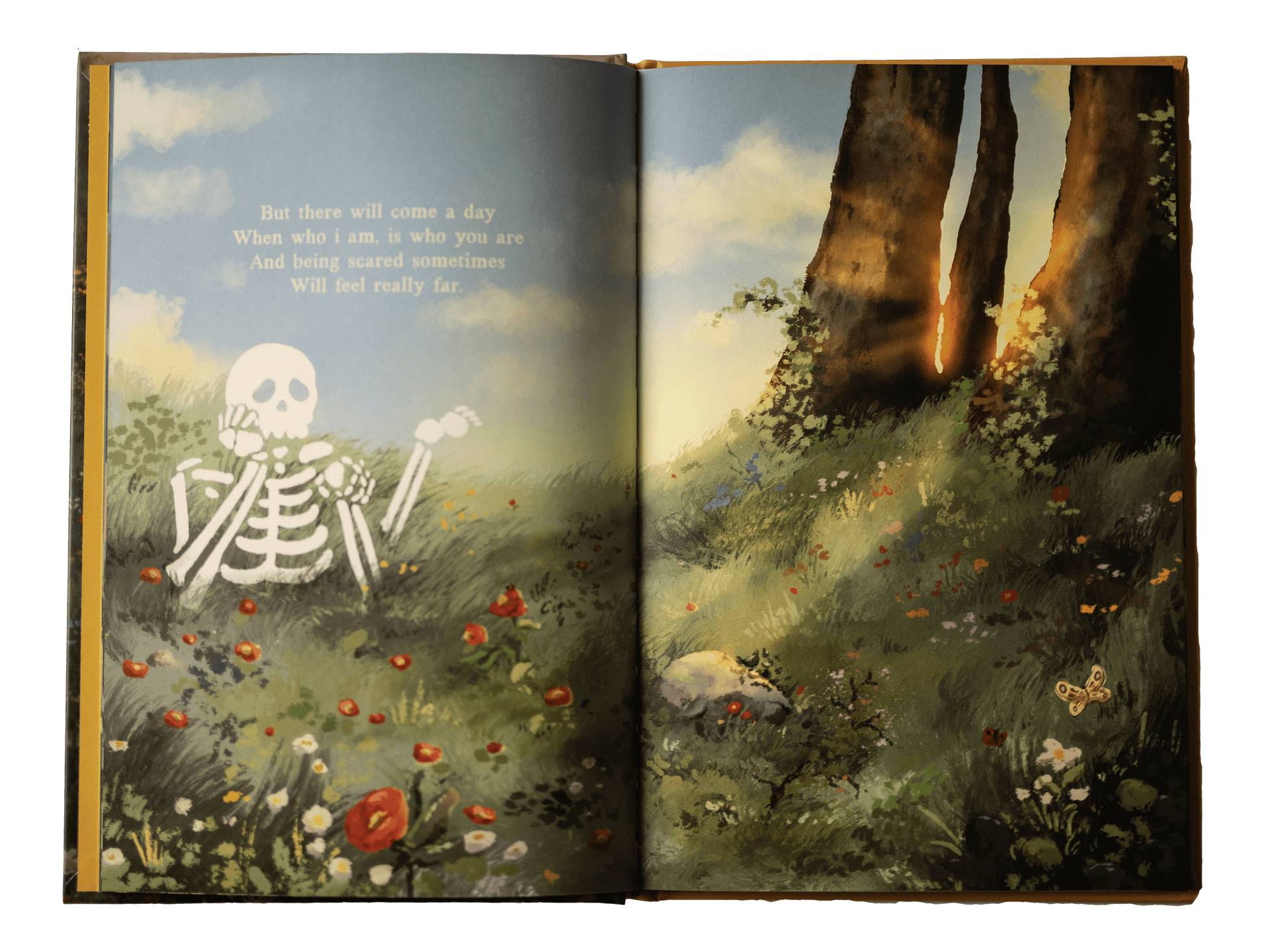 PREORDER R3 - MR SKELLY BOOK!