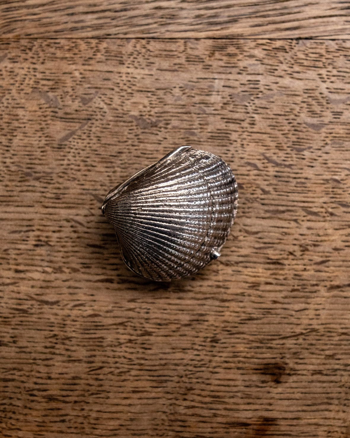 Silver and brass shell ring box