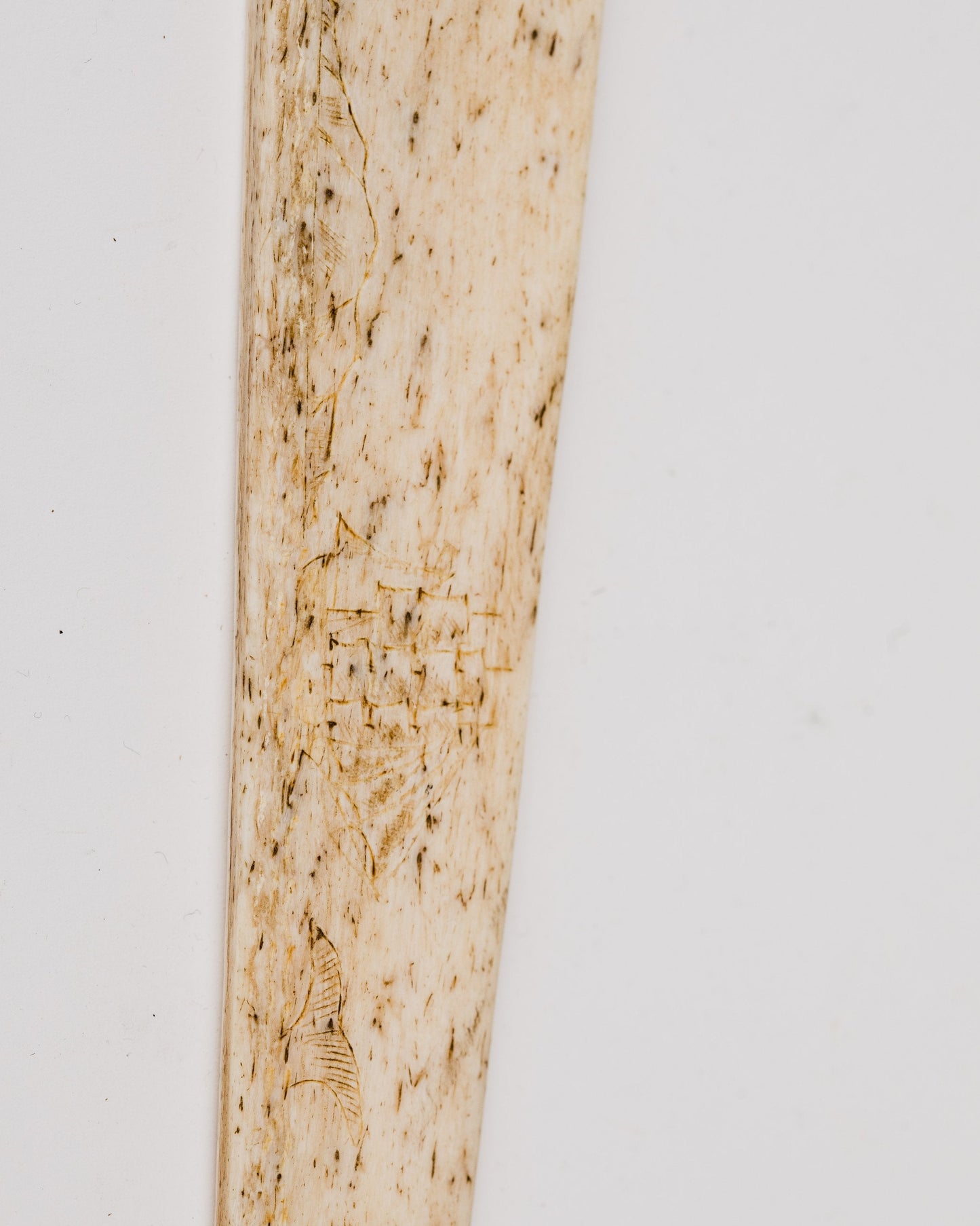 Late 1800s Antique Scrimshaw Walrus Phallic Bone