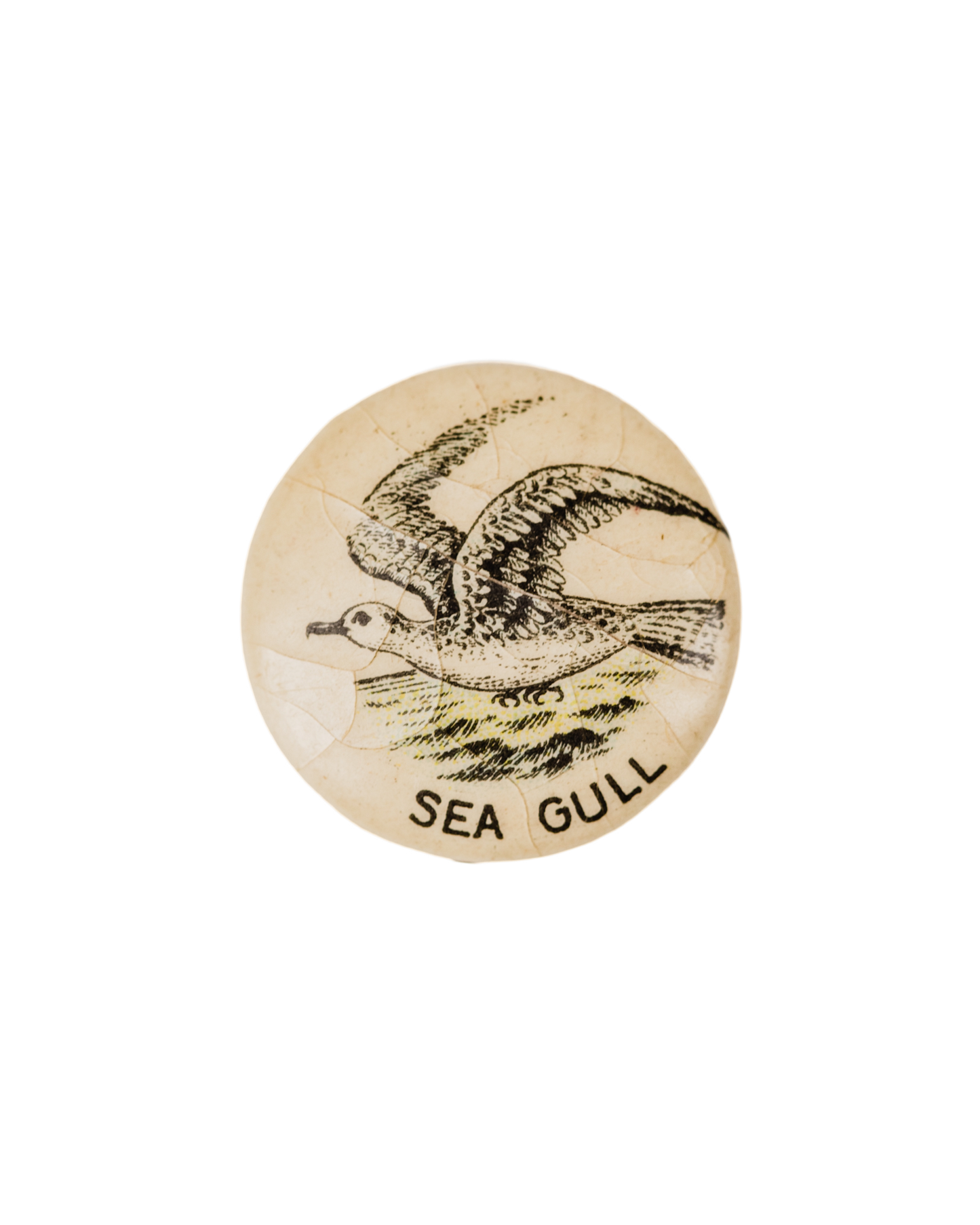 American Pepsin Gum Co. Seagull Pin