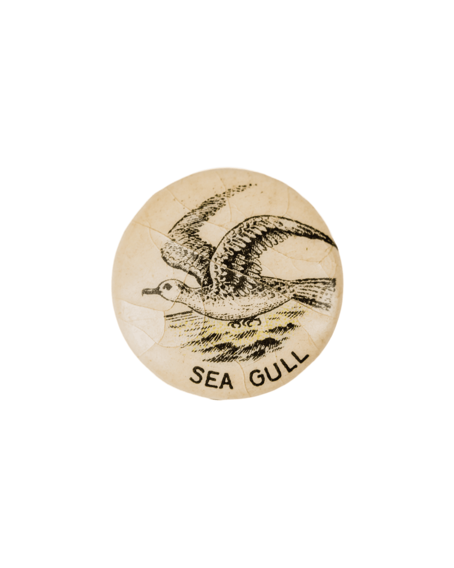 American Pepsin Gum Co. Seagull Pin