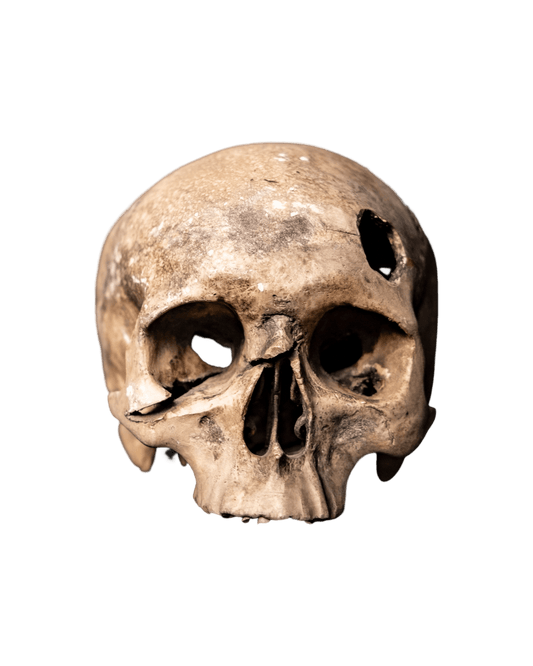 Rare Movie-Prop Plaster Skull